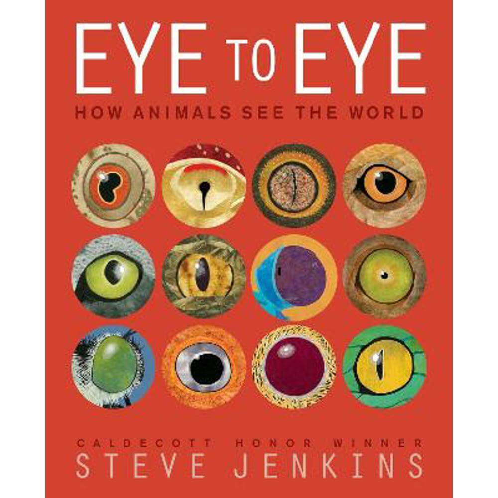 Eye to Eye/How Animals See the World: How Animals See the World (Paperback) - Steve Jenkins